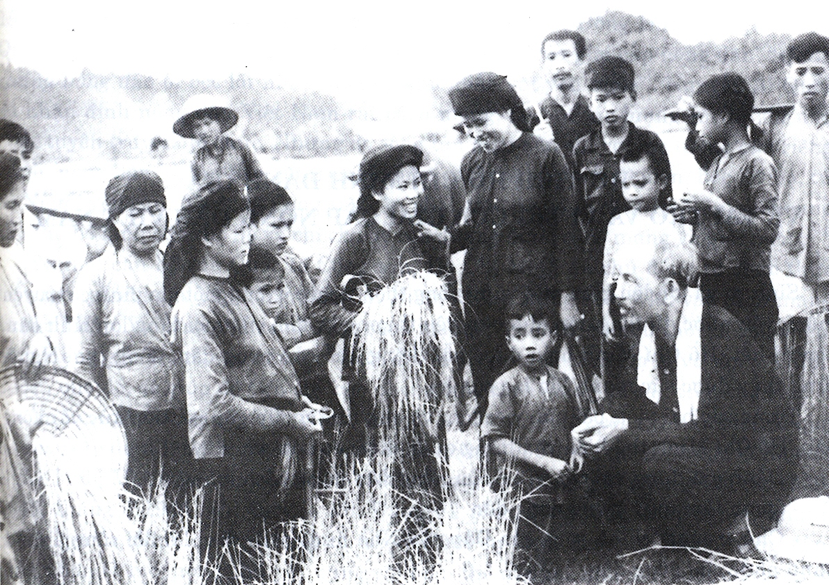 Bác Hồ thăm nông dân đang gặt lúa trên cánh đồng xã Hùng Sơn, huyện Đại Từ  (Thái Nguyên) vào năm.1954. Ảnh  tư liệu