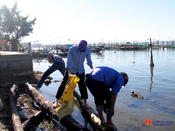 Các đoàn viên thanh vniên VKSND Thị xã Hương trà dọn sạch rác thải ven biển